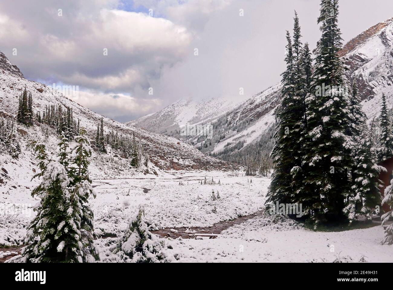 Comienzo del invierno en Shovel Pass Lodge, Skyline Sendero de caminatas cerca de Jasper, Parque Nacional Jasper, Montañas Rocosas, Alberta, Canadá Foto de stock