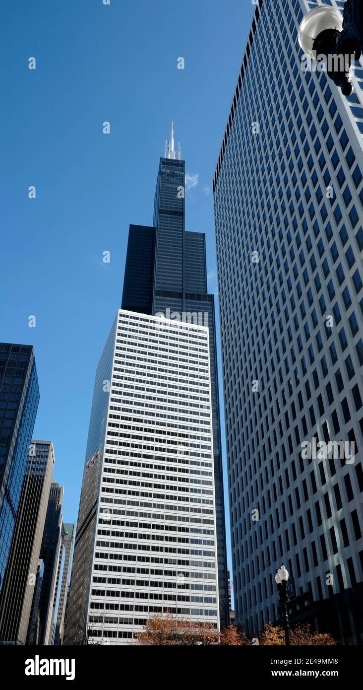 Chicago, Illinois, EE.UU. Willis Tower, anteriormente la torre Sear construida en 1973 fue la estructura más alta del mundo (durante 25 años), diseñada por Bruce Graham, sobresale detrás de pequeñas torres del centro. United Airlines ocupa 20 pisos de la torre. Foto de stock