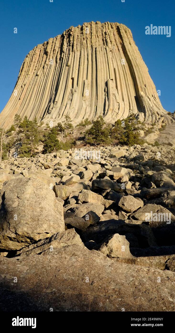Devils Tower National Monument - Wyoming es una butte, posiblemente laccolitos, compuesto de roca ígnea. Fue establecido como Monumento Nacional en 1906 por Theodore Roosevelt. Resistente a la erosión, forma acantilados verticales que rodean la torre. Foto de stock