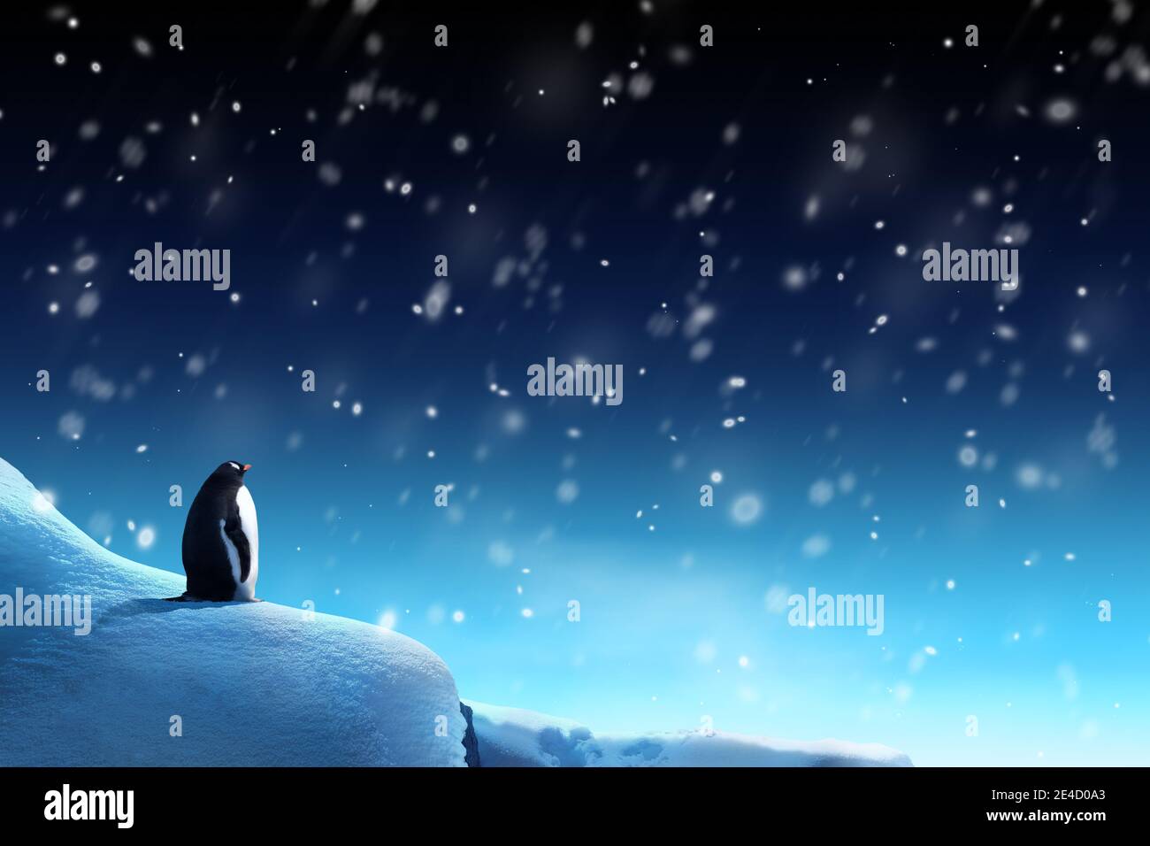 Escena nocturna de invierno con un pingüino viendo caer la nieve. Navidad tema de vacaciones. Foto de stock