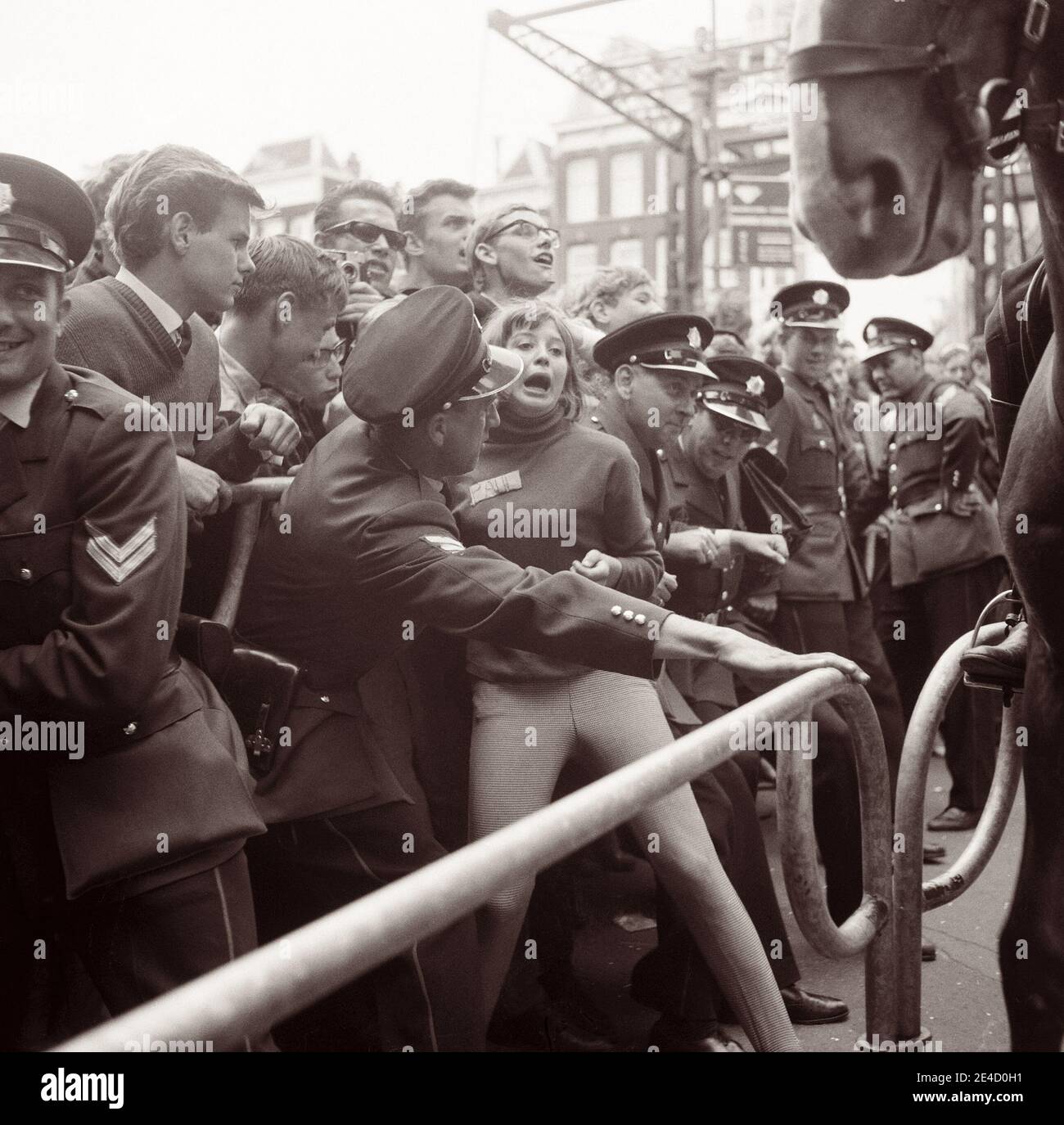 La policía lucha para retener a las multitudes de fans de los Beatles cuando la banda de rock inglesa llegó a Ámsterdam, Holanda del Norte el 5 de junio de 1964. Foto de stock