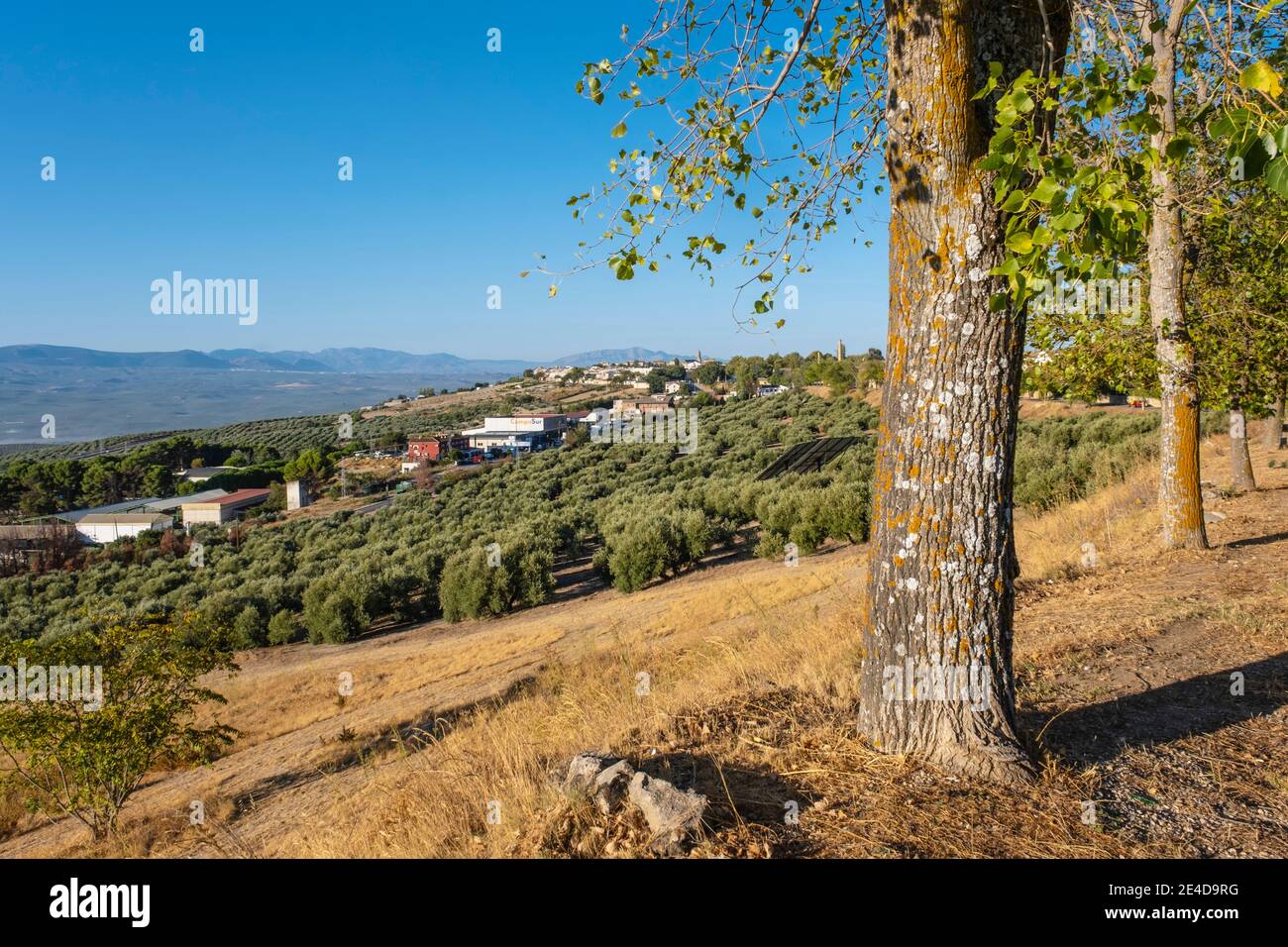 Vista panorámica de Baeza, Patrimonio de la Humanidad de la UNESCO. Provincia de Jaén, Andalucía, Sur de España Europa Foto de stock