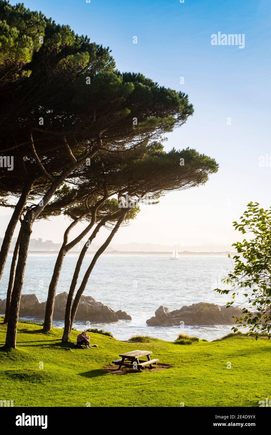 Jardines de la Península de la Magdalena. Santander, Mar Cantábrico, Cantabria, Norte de España, Europa Foto de stock