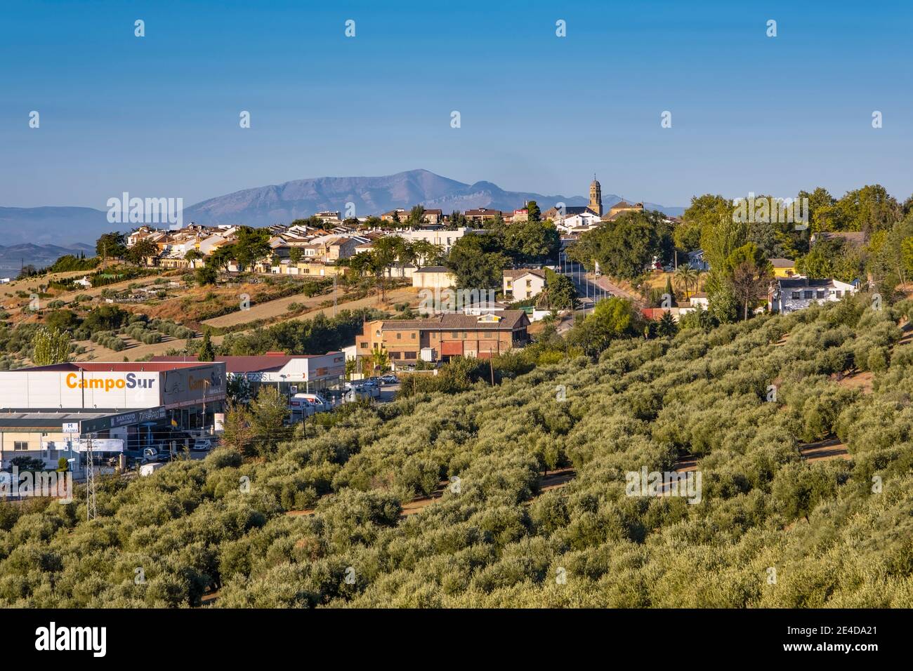 Vista panorámica de Baeza, Patrimonio de la Humanidad de la UNESCO. Provincia de Jaén, Andalucía, Sur de España Europa Foto de stock