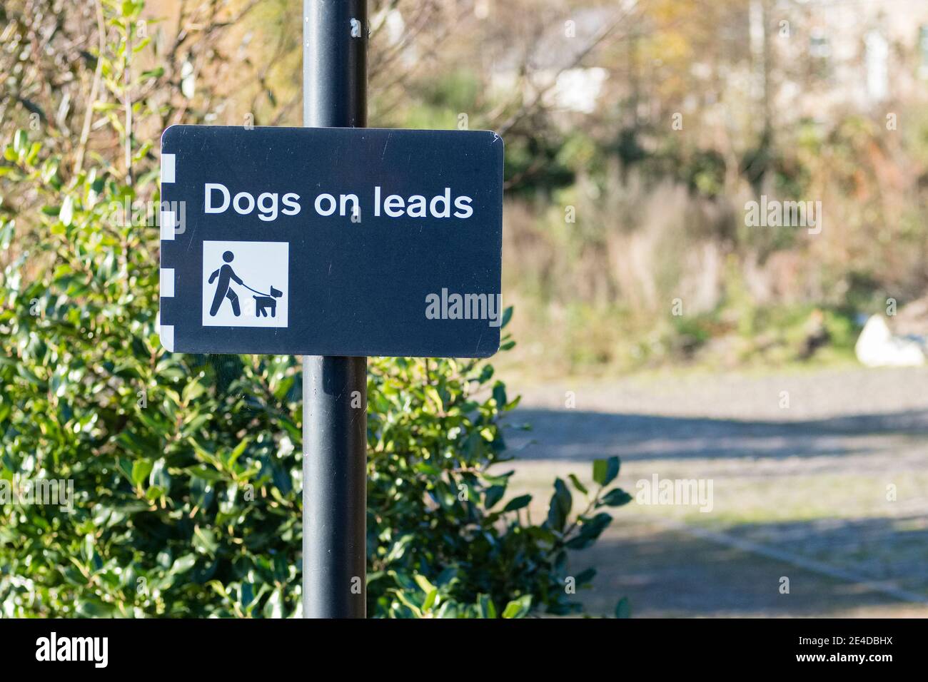 Los perros deben ser mantenidos en un plomo o una correa adentro letrero del área de juegos del parque público Foto de stock