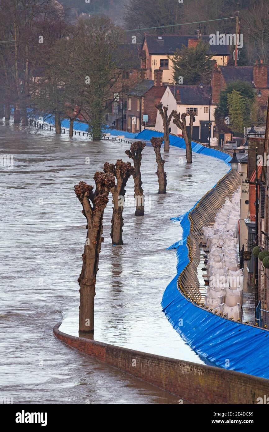 Shropshire, Reino Unido. 23 de enero de 2021. Los niveles del río Severn en Shropshire siguieron aumentando de la noche a la mañana, causando inundaciones en algunas zonas. Se han erigido barreras contra las inundaciones a lo largo de la Wharfage en Ironbridge, en un intento de impedir que las aguas de las inundaciones entren en hogares y negocios. Crédito: Rob Carter/Alamy Live News Foto de stock