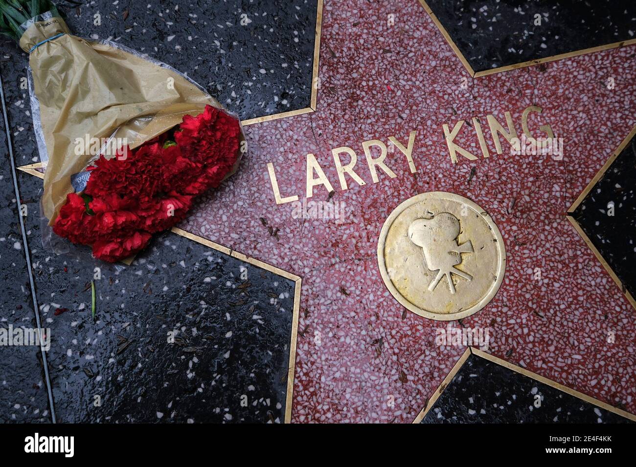 Los Ángeles, California, EE.UU. 23 de enero de 2021. Las flores se colocan  en la estrella de Larry King en el Paseo de la Fama de Hollywood, sábado,  23 de enero de