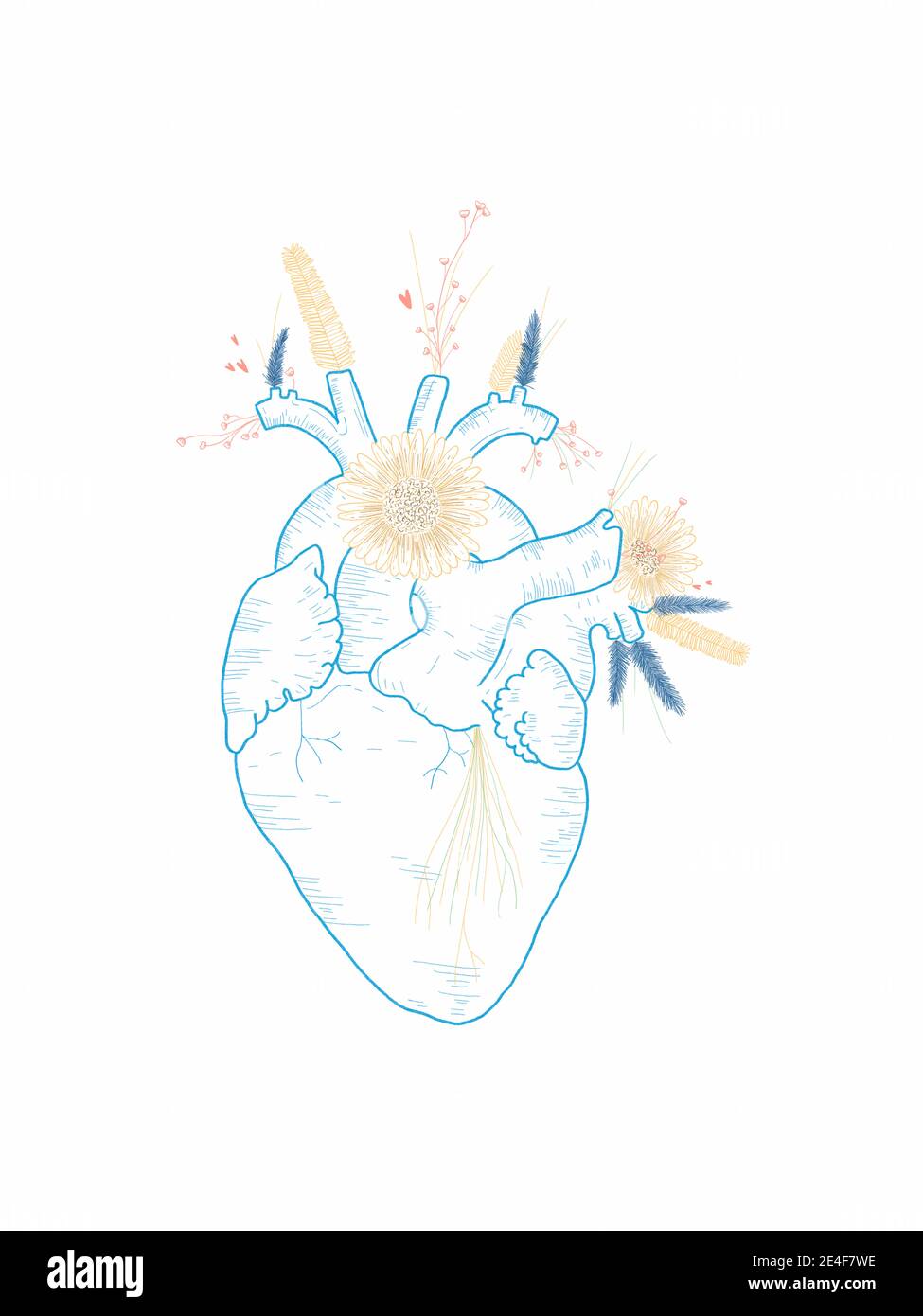 Dibujo a mano de un corazón con flores Foto de stock