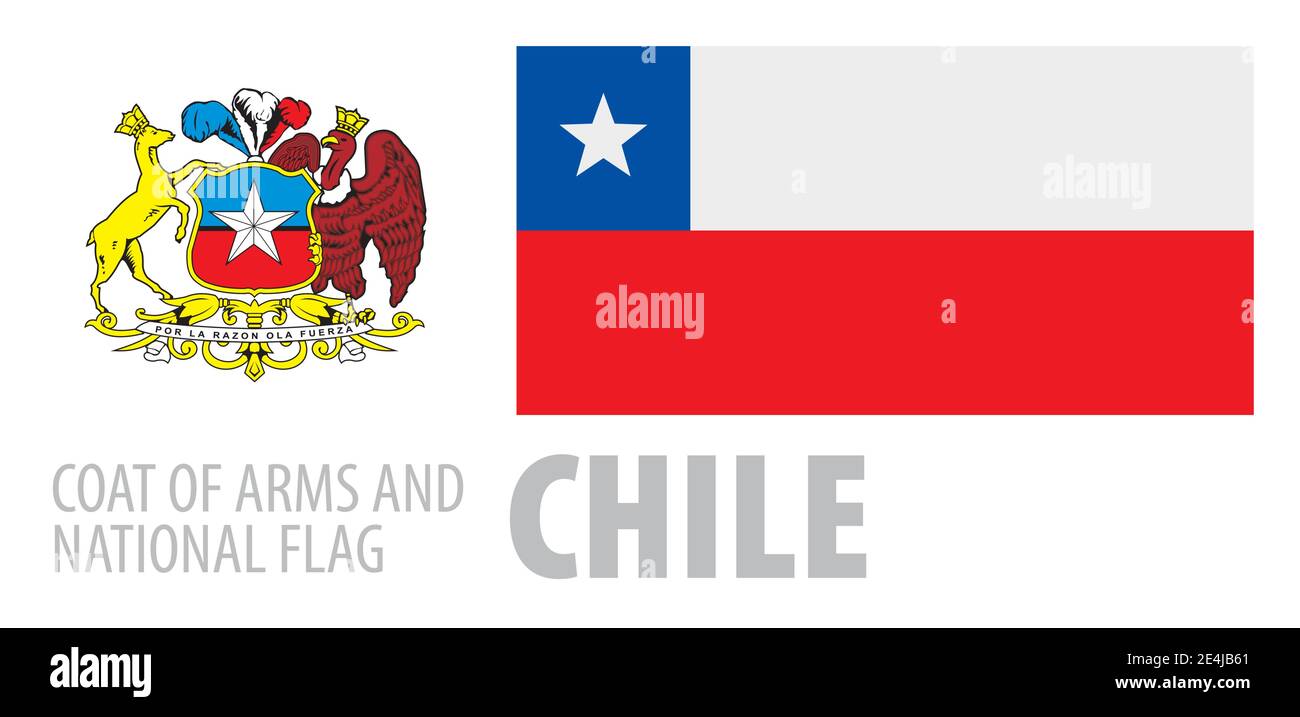 Vector del escudo de armas y la bandera nacional De Chile Imagen Vector