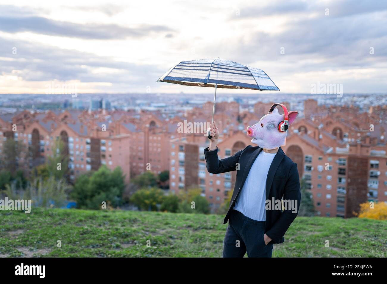 Empresario masculino usando máscara de cerdo en la videollamada a través de  SMART teléfono Fotografía de stock - Alamy