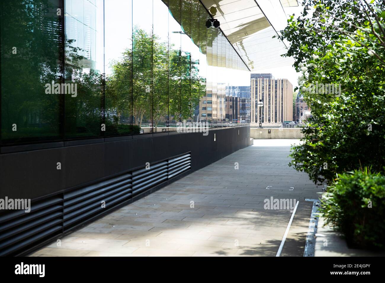 Reino Unido, Inglaterra, Londres, árbol que refleja en la pared del edificio de cristal Foto de stock