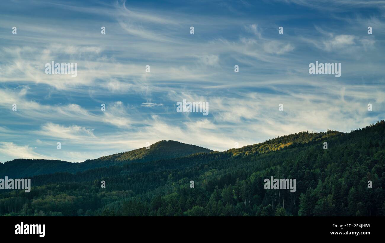 Alemania, Selva Negra Schwarzwald vista sobre las montañas de bosque verde y la atmósfera mística temprano en la mañana al amanecer Foto de stock