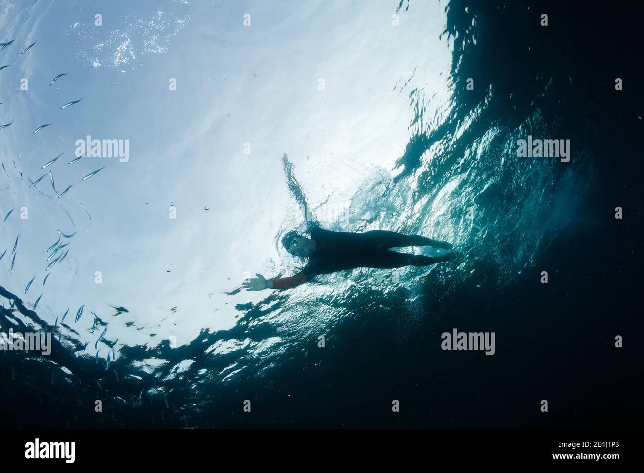 Hombre buceando en el mar entre peces Foto de stock