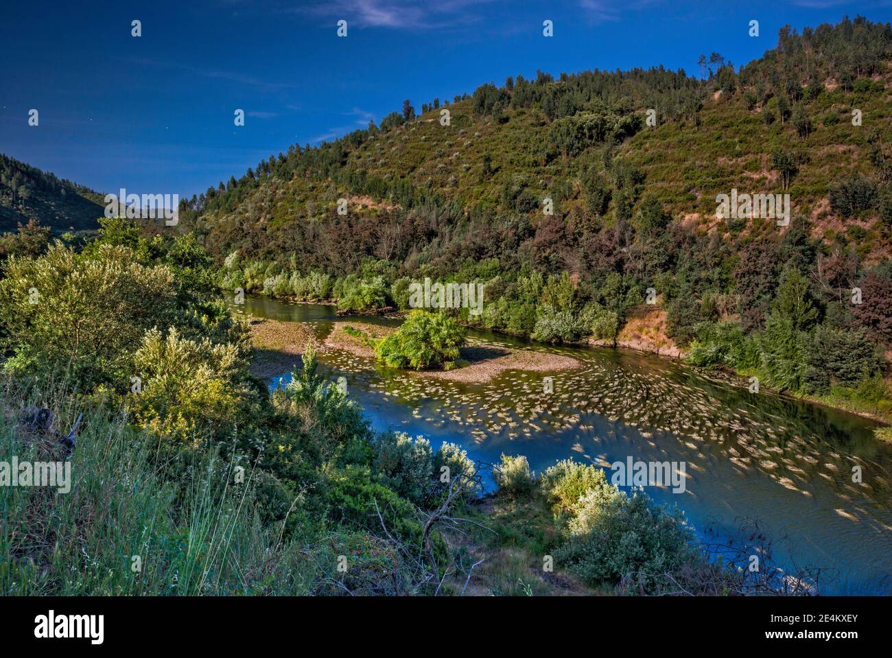Río Zezere, cerca del río Tajo (Río Tejo) confluencia y ciudad de Constanza, región Centro, Portugal Foto de stock