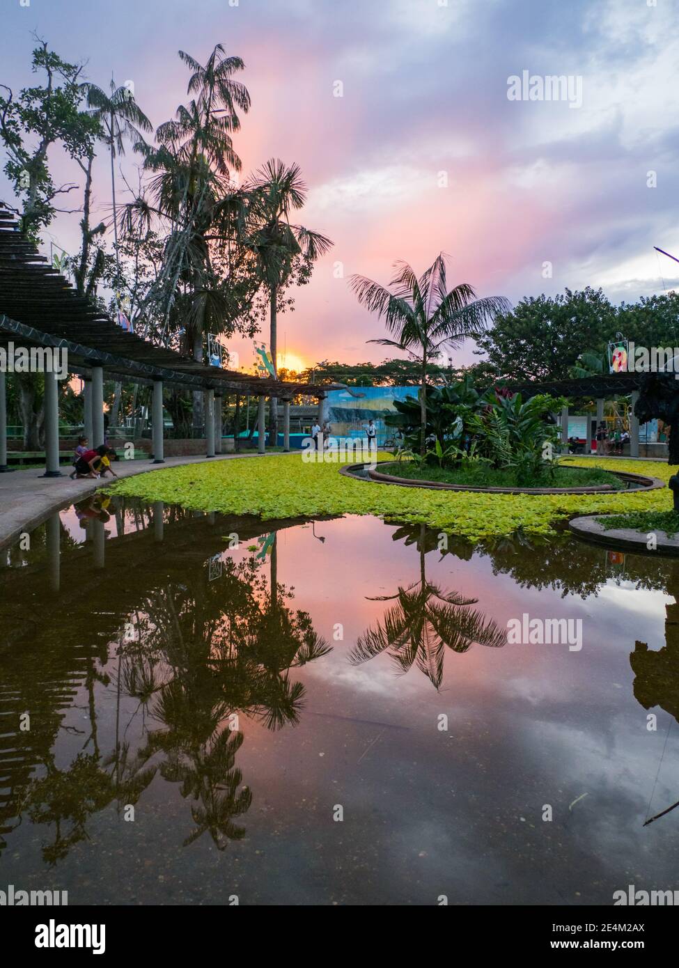 Leticia, Colombia - 29 de noviembre de 2019: Puesta de sol en el Parque  Santander en un pequeño pueblo a orillas del río Amazonas. Leticia, Amazonia,  América del Sur Fotografía de stock - Alamy