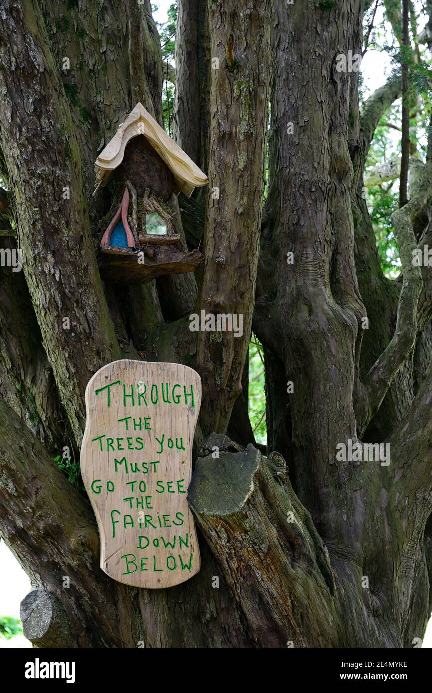 Árbol de huellas para niño y niña - La Casa de un Hada