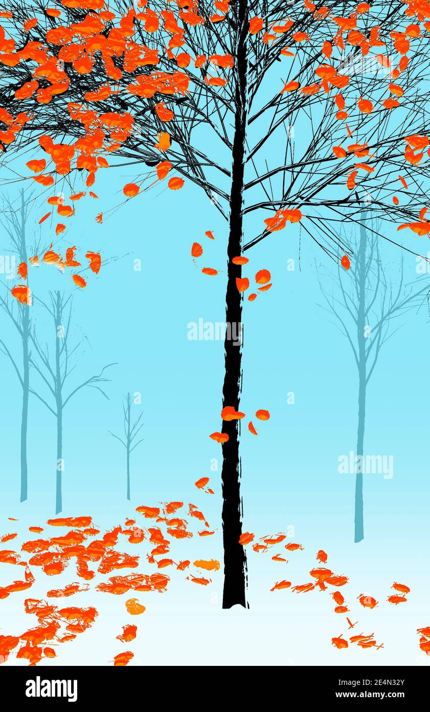 Un árbol con hojas de color naranja brillante que caen en otoño se ve sobre  un fondo cian con otros árboles que se desvanecen en la distancia  Fotografía de stock - Alamy