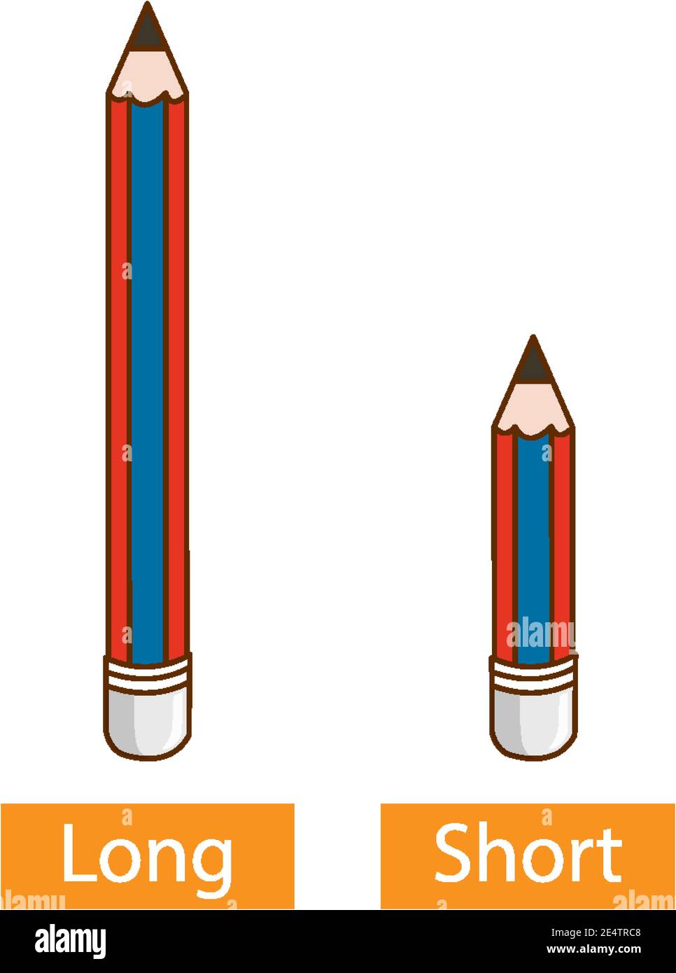 Palabras de adjetivo opuestas con lápiz largo y lápiz corto ilustración de  fondo blanco Imagen Vector de stock - Alamy