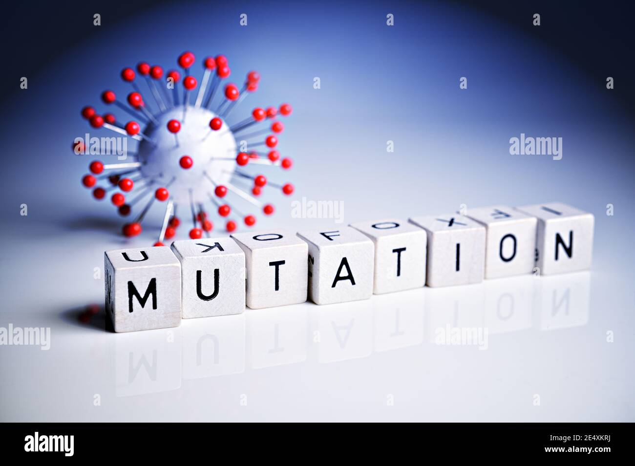Modelo de coronavirus y cubos de letras, mutación covid Foto de stock