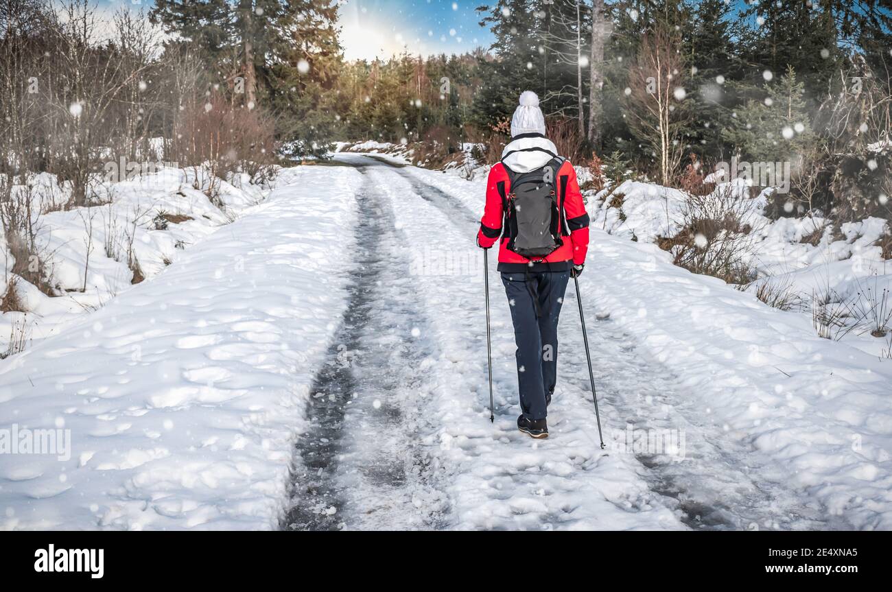 Una joven con polos nórdicos camina por la nieve Fotografía de stock - Alamy