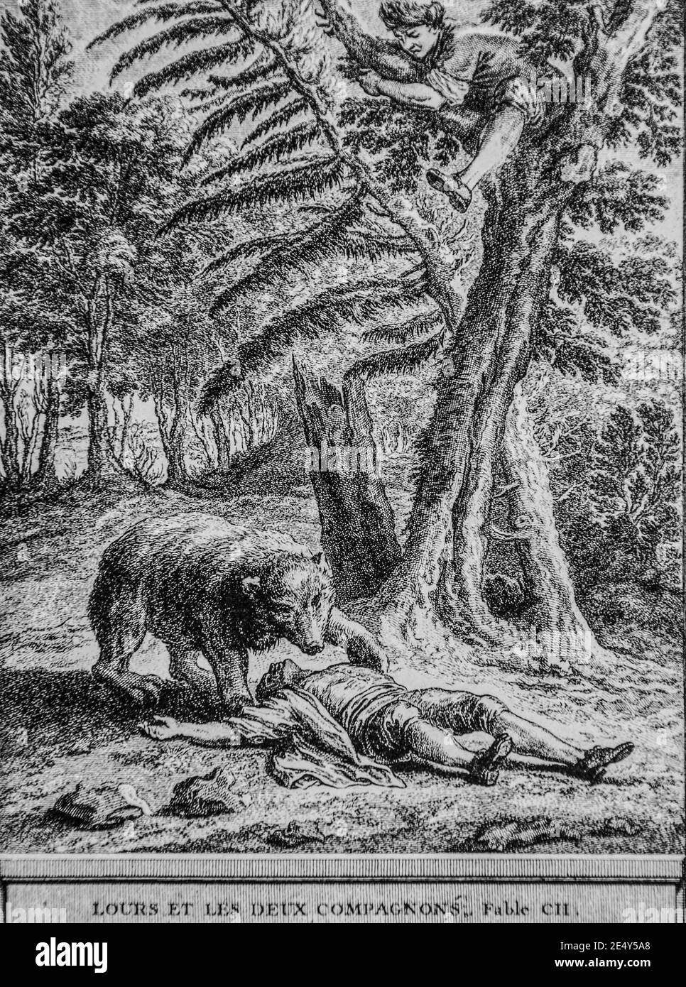 Les fables de la fontaine Imágenes de stock en blanco y negro Alamy Les fables de la fontaine Imágenes de stock en blanco y negro Alamy