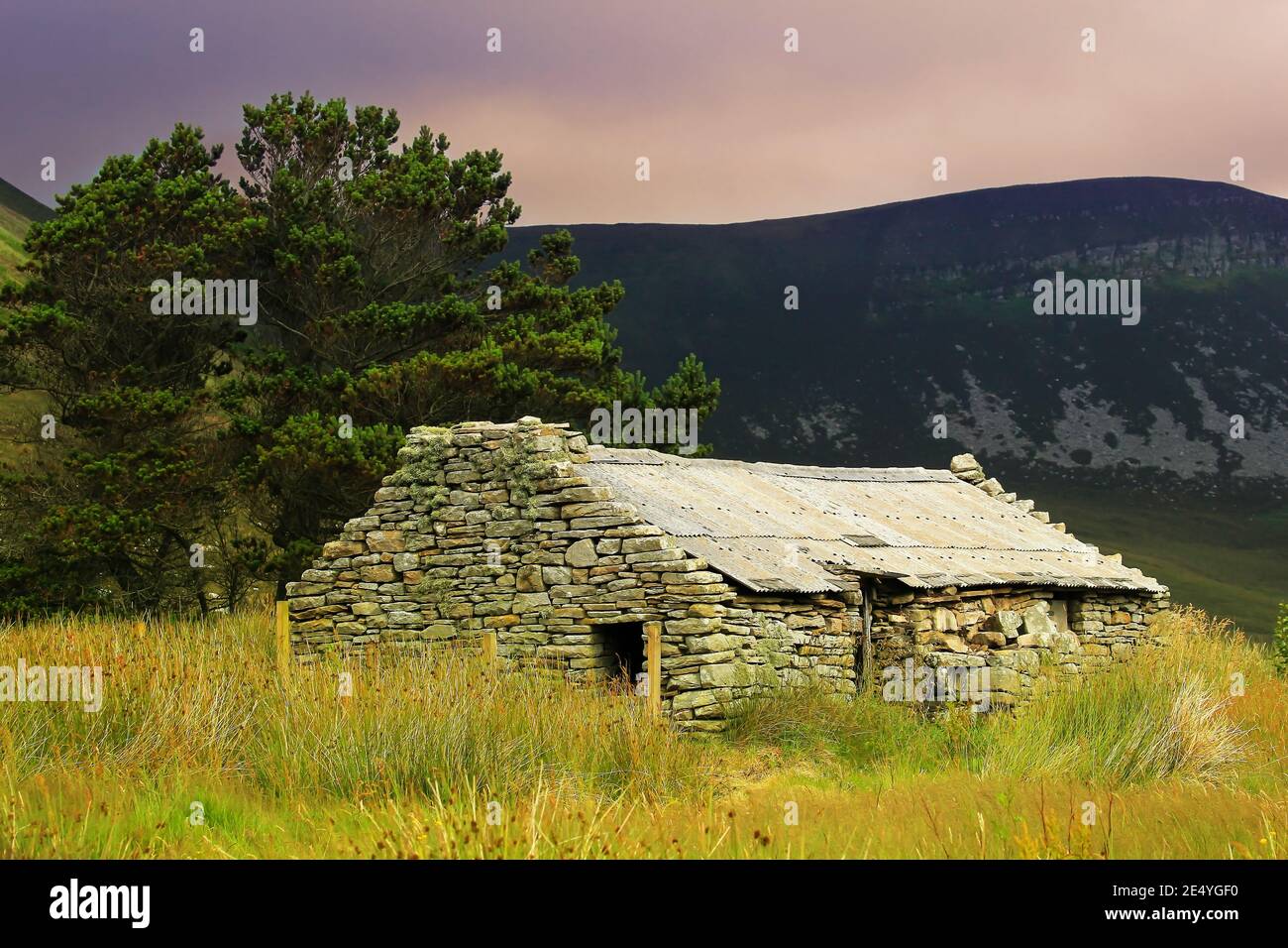 Casa rural tradicional escocesa abandonada construida en piedra con croft pino y colinas negras en el fondo y hierba alta en primer plano en summe Foto de stock