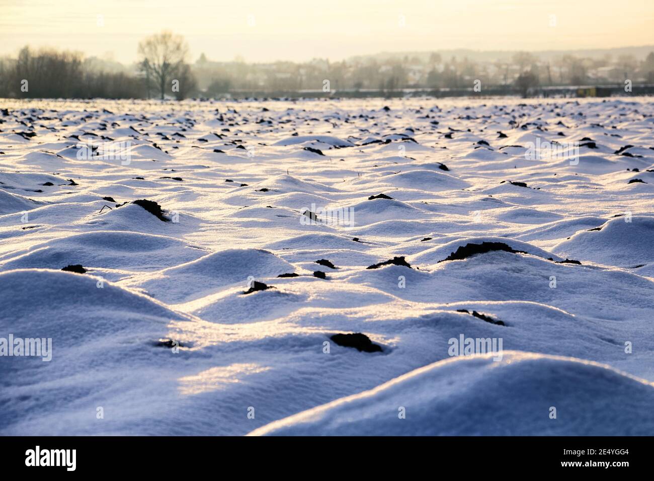 Gran cubierta de campo abierto con nieve con tierra de arado parece como colinas en invierno Foto de stock
