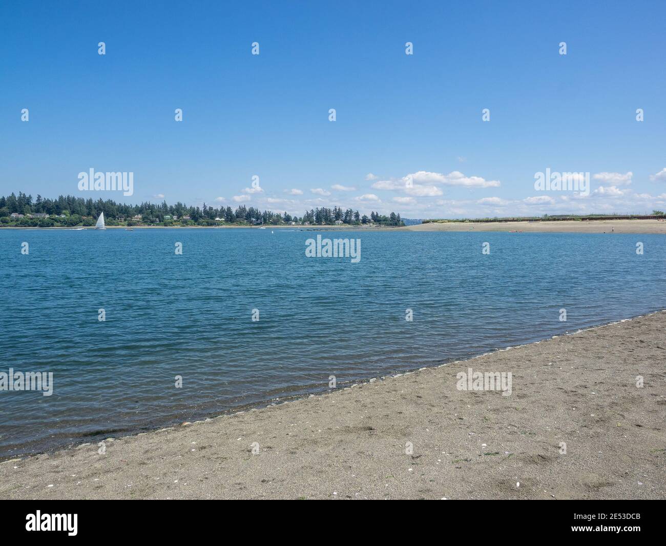 Pritchard Park es un sitio de limpieza ambiental Superfund de 50 acres (20 ha) en la orilla del Eagle Harbor de Bainbridge Island en el estado de Washington. Foto de stock