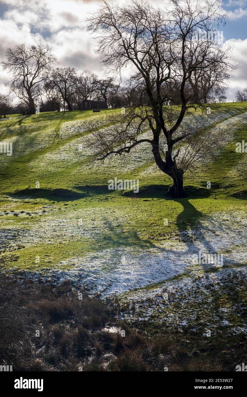 Nieve ligera muestra restos de campos medievales cerca de Parwich, Parque Nacional Peak District, Derbyshire Foto de stock