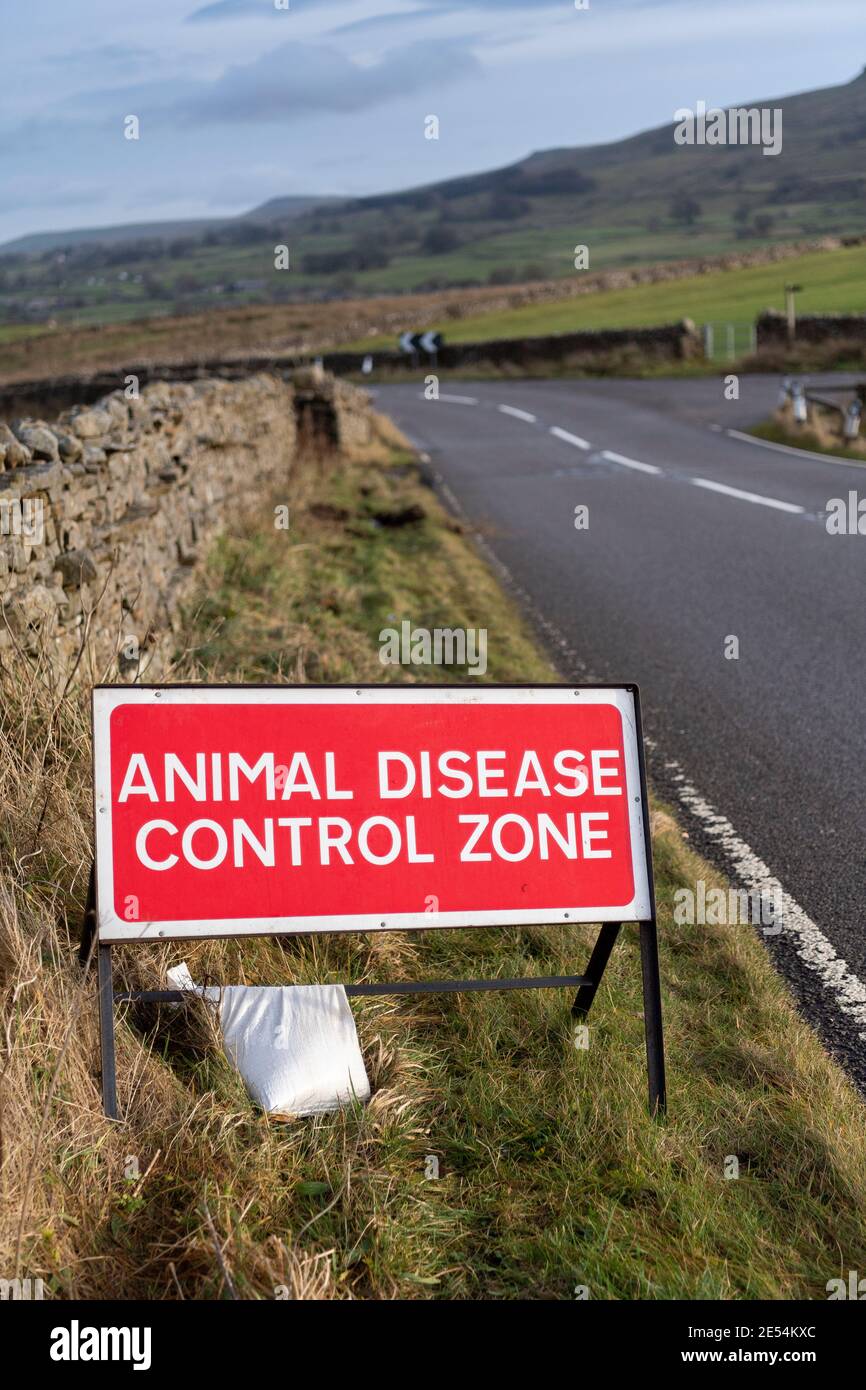 Signo del área de control de enfermedades animales en Wensleydale, parte del brote de gripe aviar a finales de 2020, Reino Unido. Foto de stock