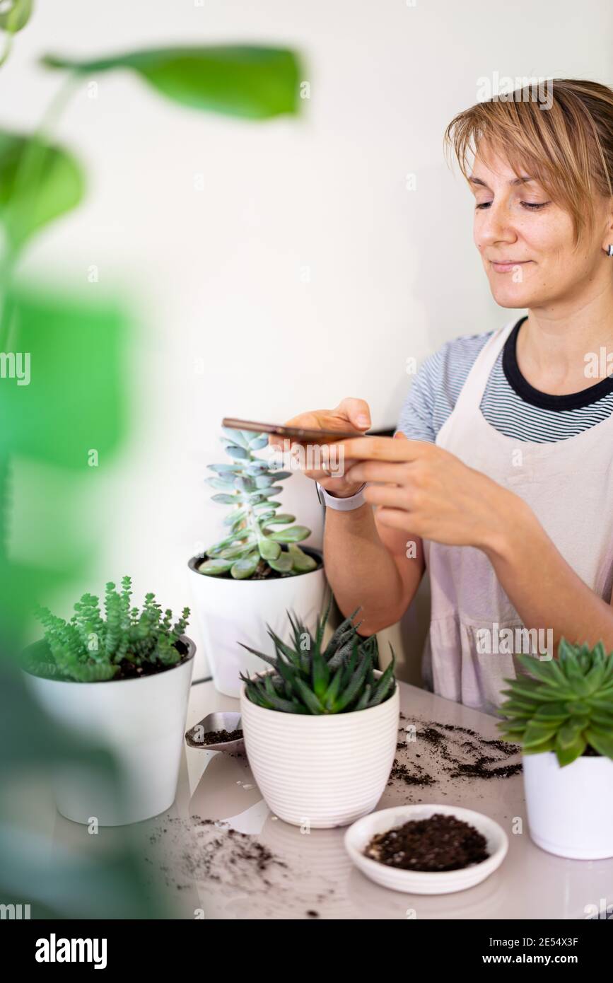 Mujer jardinera está disparando plantas en ollas de cerámica blanca por  teléfono. Concepto de jardín en casa. Primavera. Cuidar de las plantas  domésticas Fotografía de stock - Alamy