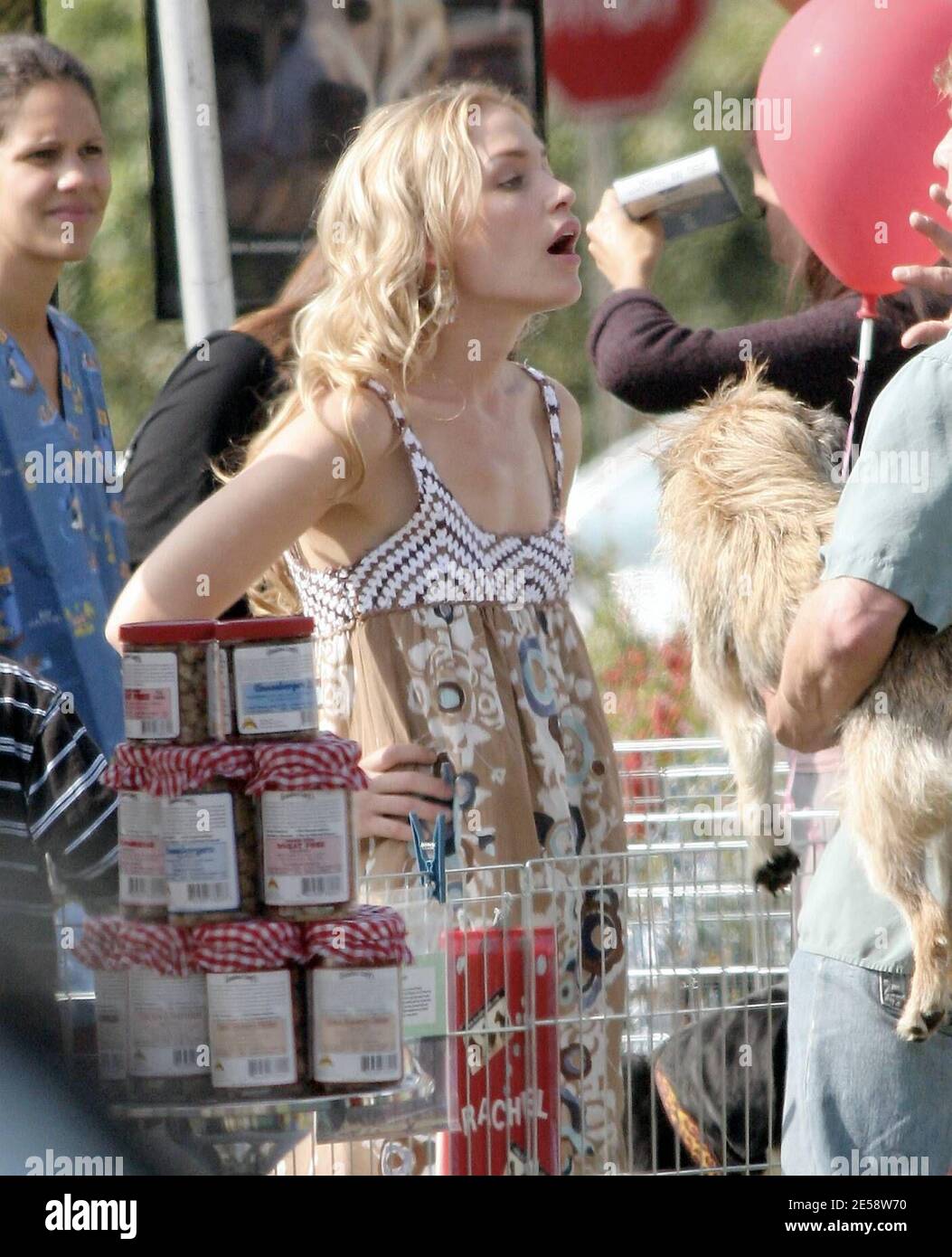 Piper Perabo Filma Una Escena Para La Comedia Sur De La Frontera Dibujo Estrellas De Barrymore Como La Voz De Chloe Una Posh Chihuahua Que Se Encuentra Perdida Y En Necesidad De
