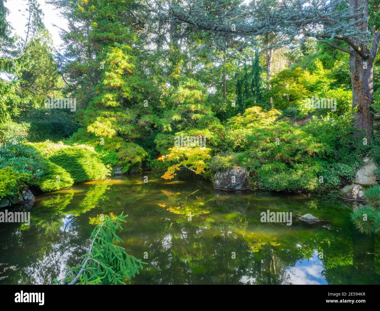 Kubota Garden es un jardín japonés de 20 m² (81,000 acres) en el barrio de Rainier Beach de Seattle, Washington. Características principales del Kubota Garden i Foto de stock