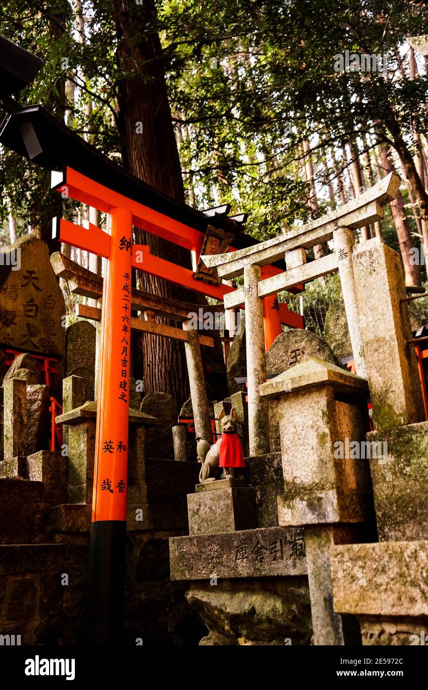 Fushimi Inari Santuario cementería Foto de stock