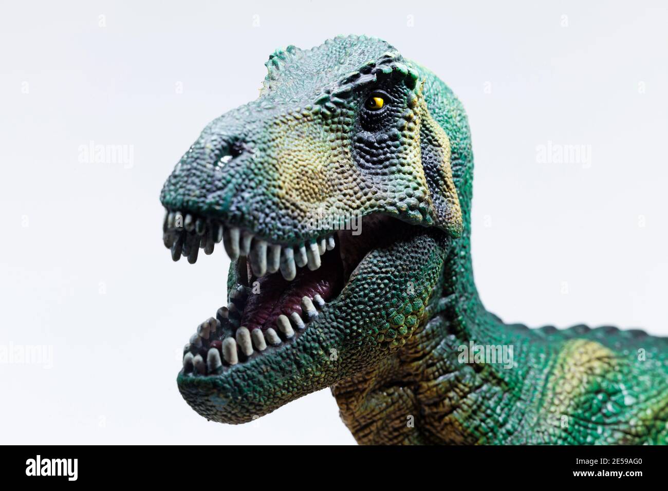 cabeza de un dinosaurio de juguete con boca abierta sobre blanco antecedentes Fotografía de stock - Alamy cabeza de un dinosaurio de juguete con boca abierta sobre blanco antecedentes Fotografía de stock - Alamy