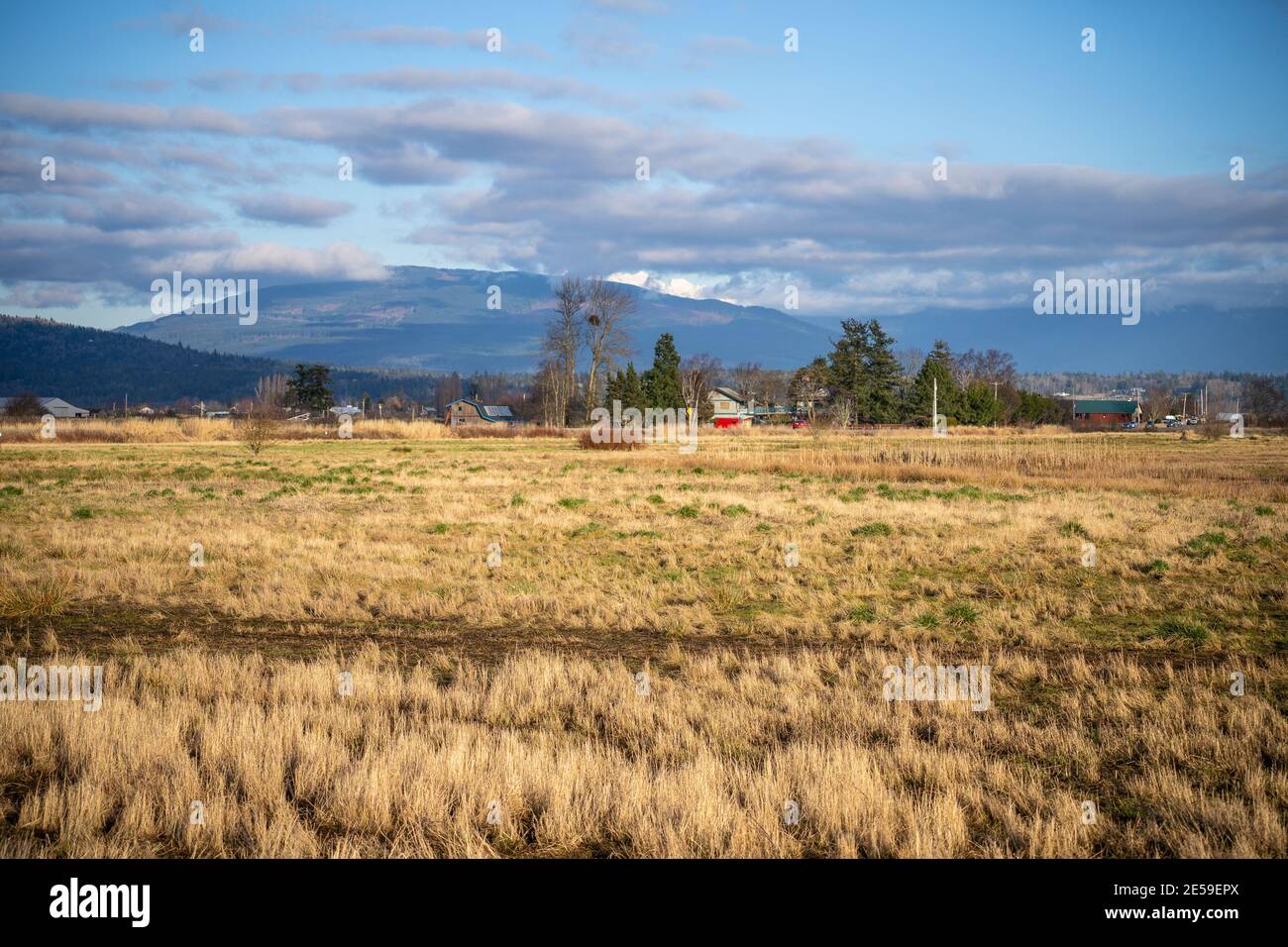 águila de la tierra de la hierba fotografías e imágenes de alta resolución  - Página 4 - Alamy