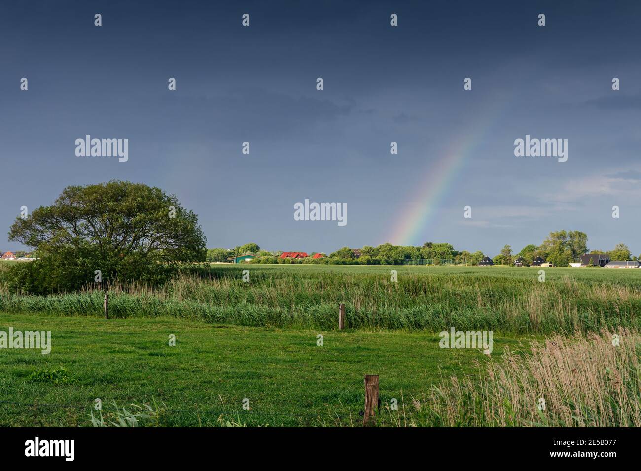 Paisaje rural típico en Frisia Oriental con arco iris, Baja Sajonia, Alemania Foto de stock