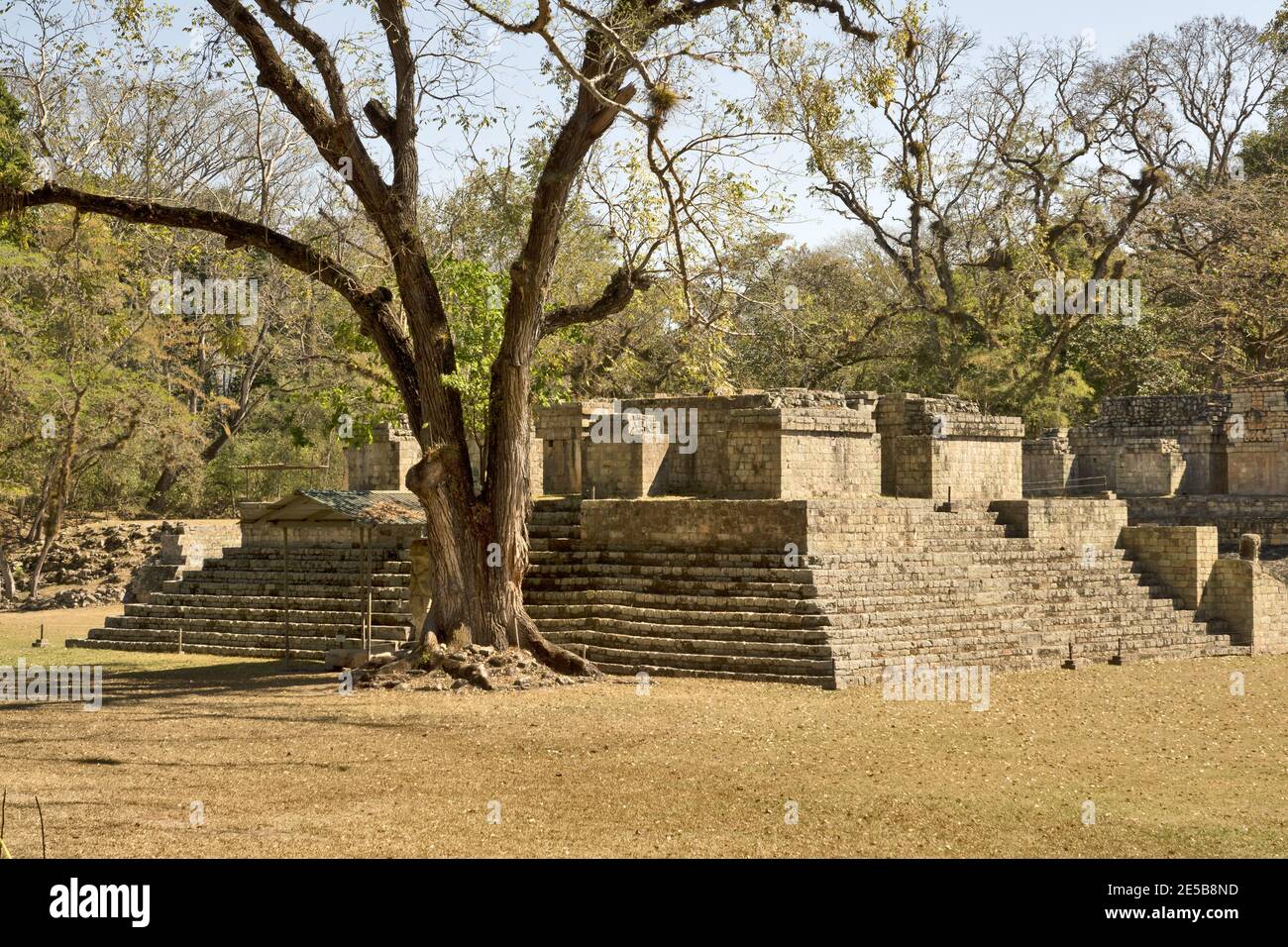 Sitio Maya De Copan: Mapa De Copan Maya – NOSXAT