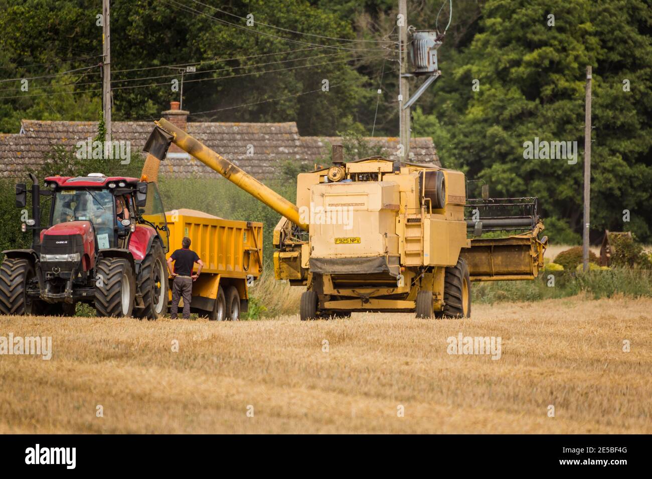 Woodbridge, Suffolk Reino Unido Agosto de 02 2020: Cosechadora cosecha trigo maduro - agricultura, agricultura, alimentación, concepto de cosecha Foto de stock