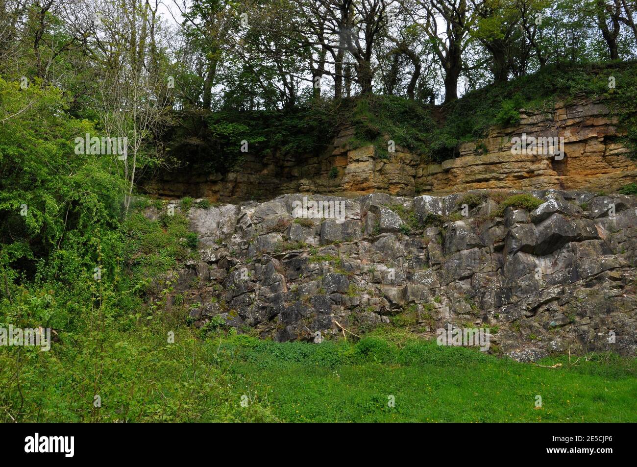 El de la Beche inconformidad en Vallis Vale, Somerset, mostrando capas horizontales de roca sedimentaria amarilla - caliza oolítica - descansando sobre ti Foto de stock
