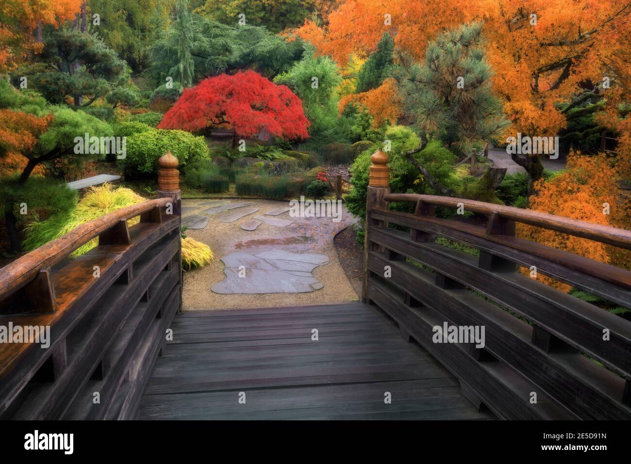 El Puente de la Luna se conecta con el Jardín Japonés de la Isla Tsuru y los brillantes colores otoñales en esta mañana brumosa en Gresham, Oregon. Foto de stock