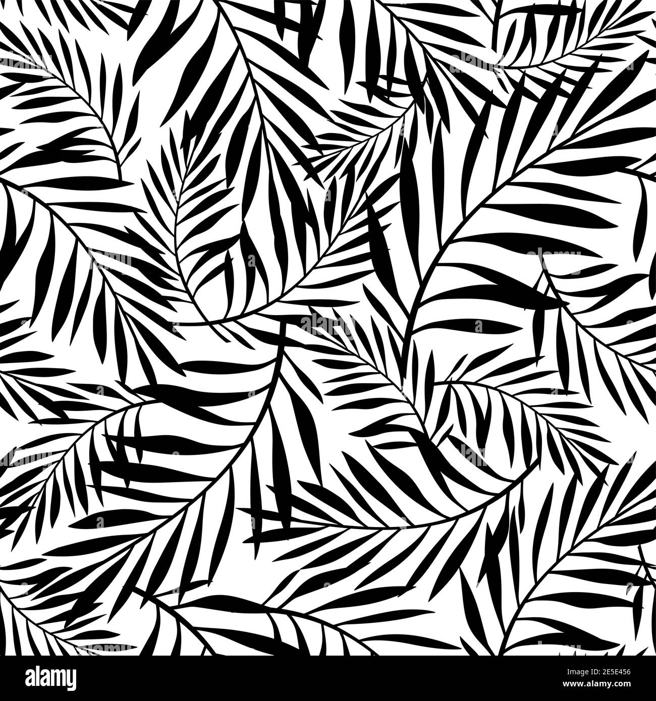 Vector negro y blanco patrón sin costuras con hojas de palma. Ilustración del Vector