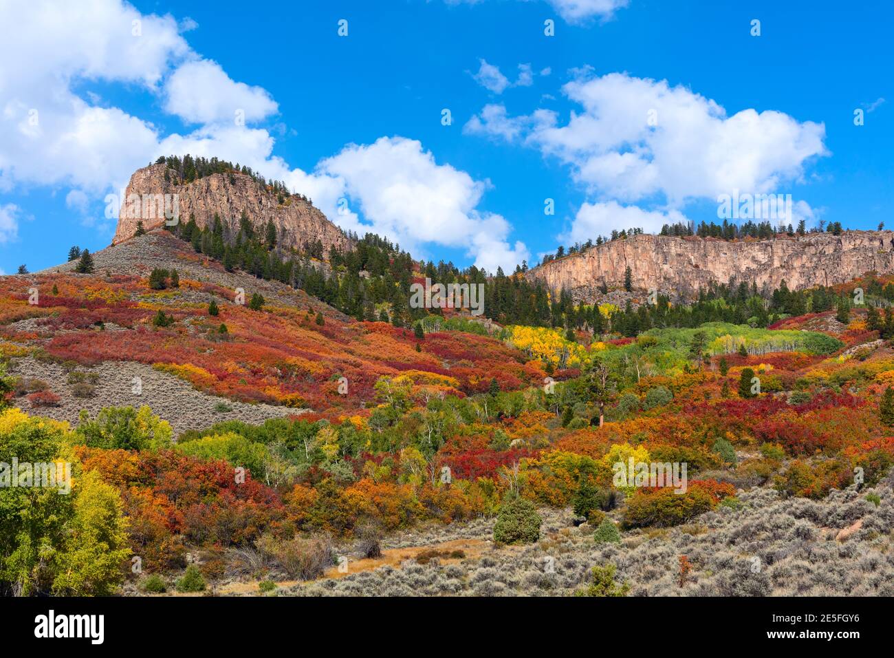 Paisaje escénico de otoño con vibrantes colores otoñales en el Área Nacional de Recreación de Curecanti, Colorado, Estados Unidos Foto de stock
