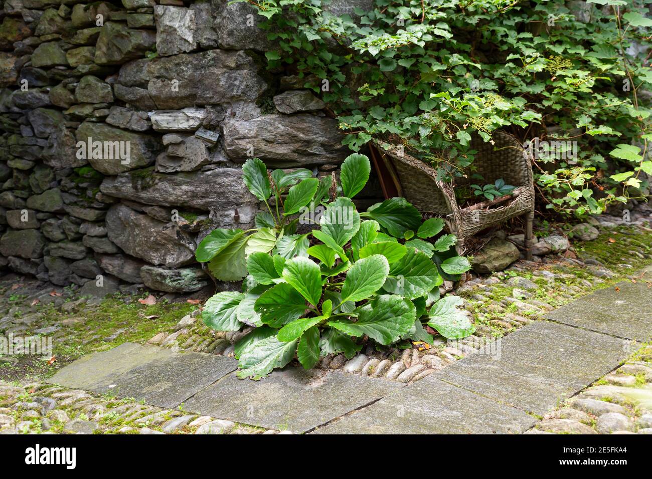 Idílica escena de jardín con una pared de piedra y una silla decadente Foto de stock
