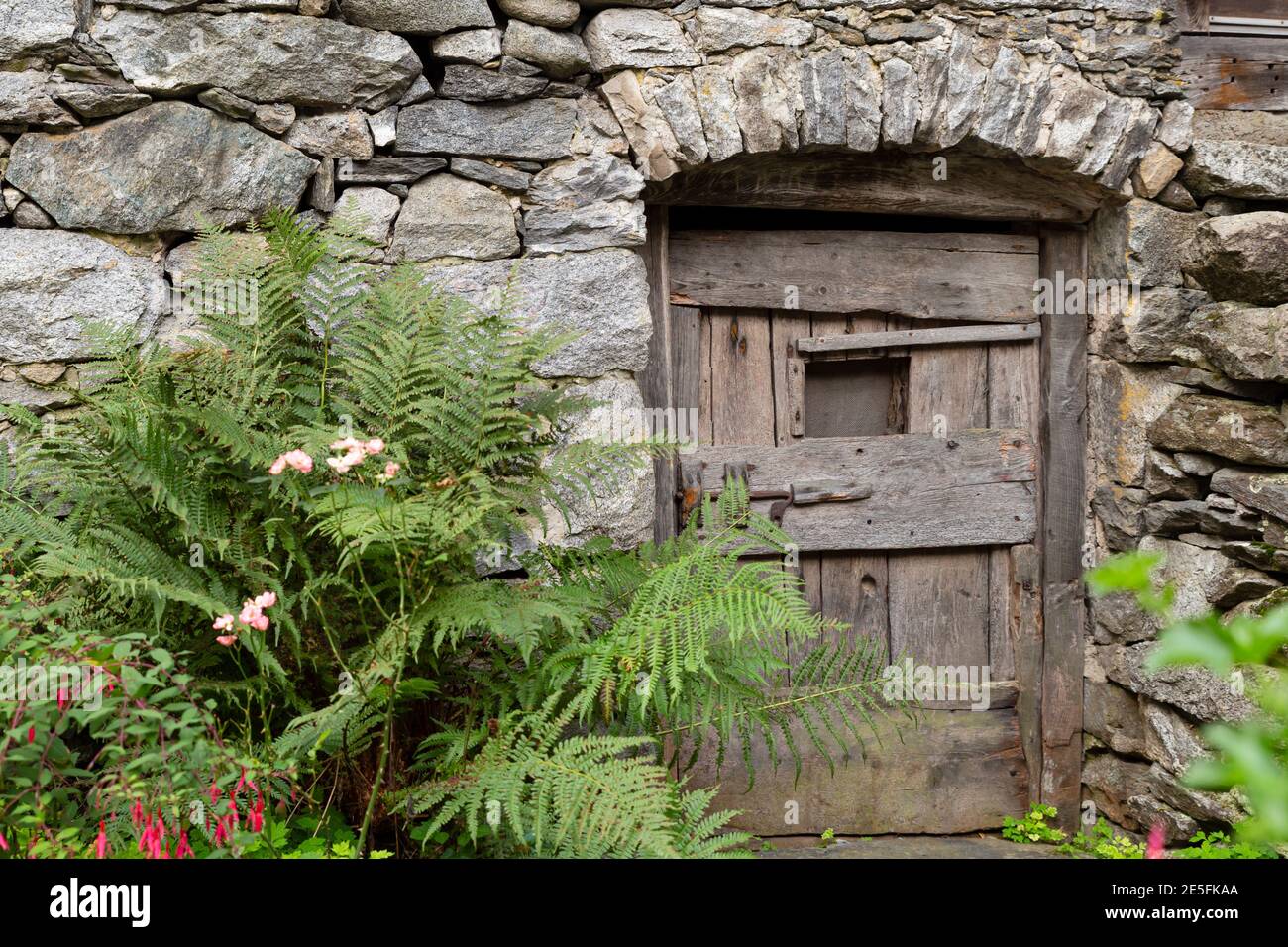 Vista frontal de una antigua casa de piedra con una enorme pequeña puerta de madera y helecho Foto de stock