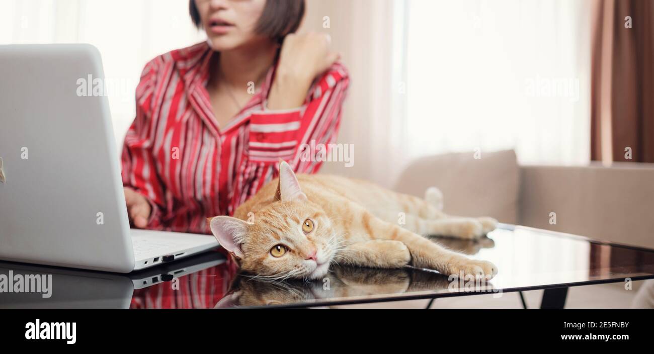 Una Mujer De Negocios Con Una Camisa Roja Con Un Gato De Jengibre Esta Sentada En Una Mesa En La Oficina Y Mirando Un Portatil Abierto Una Mujer Se Comunica A Traves
