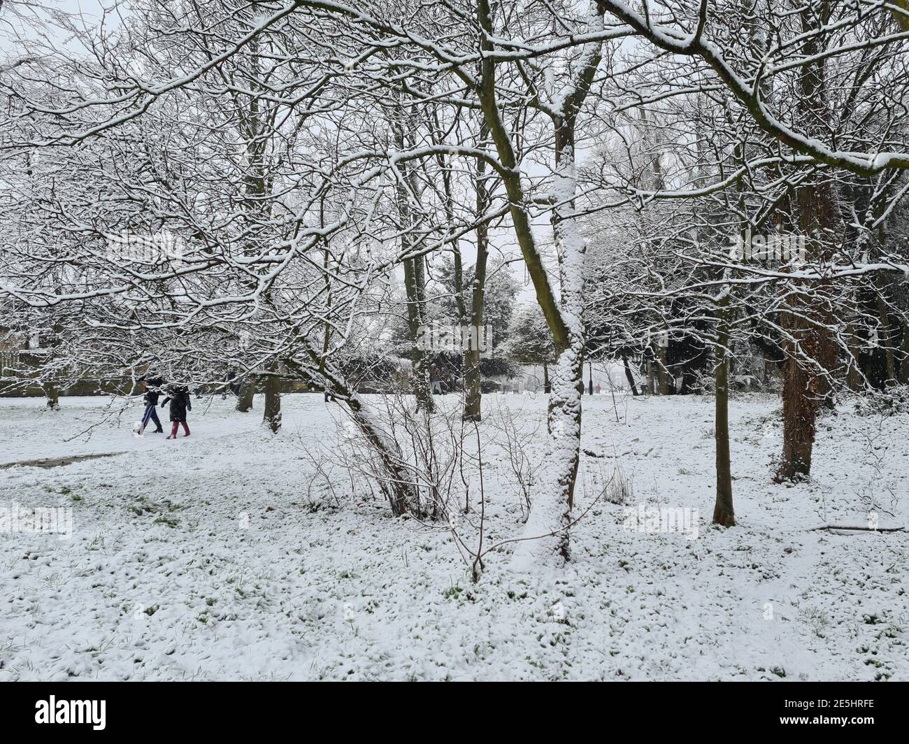 Paisaje nevado del parque suburbano de Londres Foto de stock