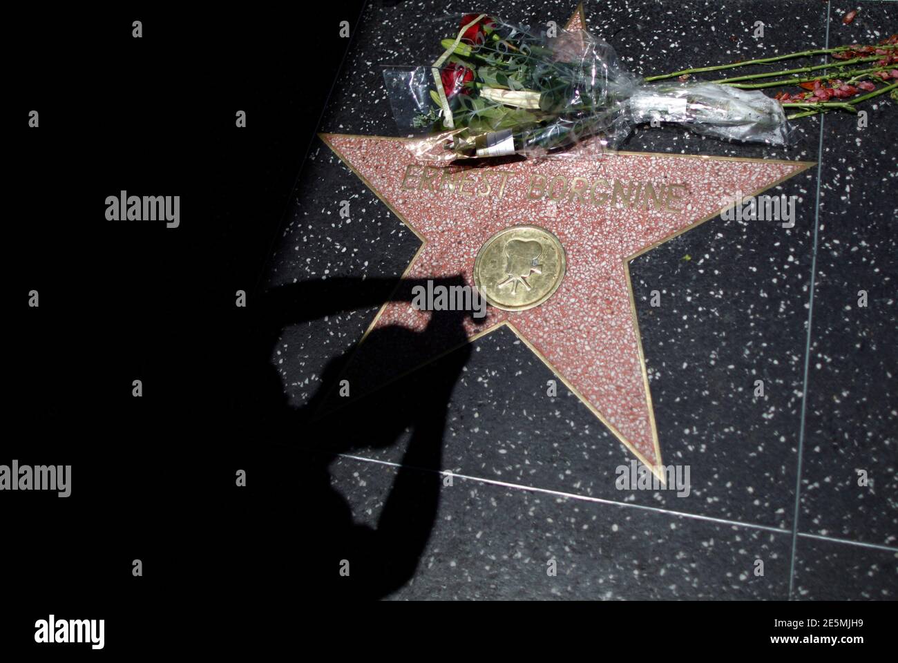 Un hombre toma fotos de flores en la estrella de Ernest Borgnine en el Paseo  de la Fama de Hollywood en los Ángeles, California, 9 de julio de 2012. El  actor estadounidense