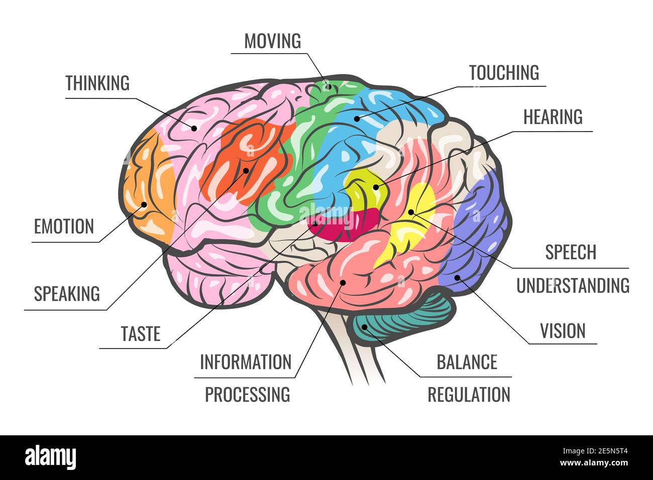 Arriba Imagen Mapa Mental Sobre El Cerebro Abzlocal Mx