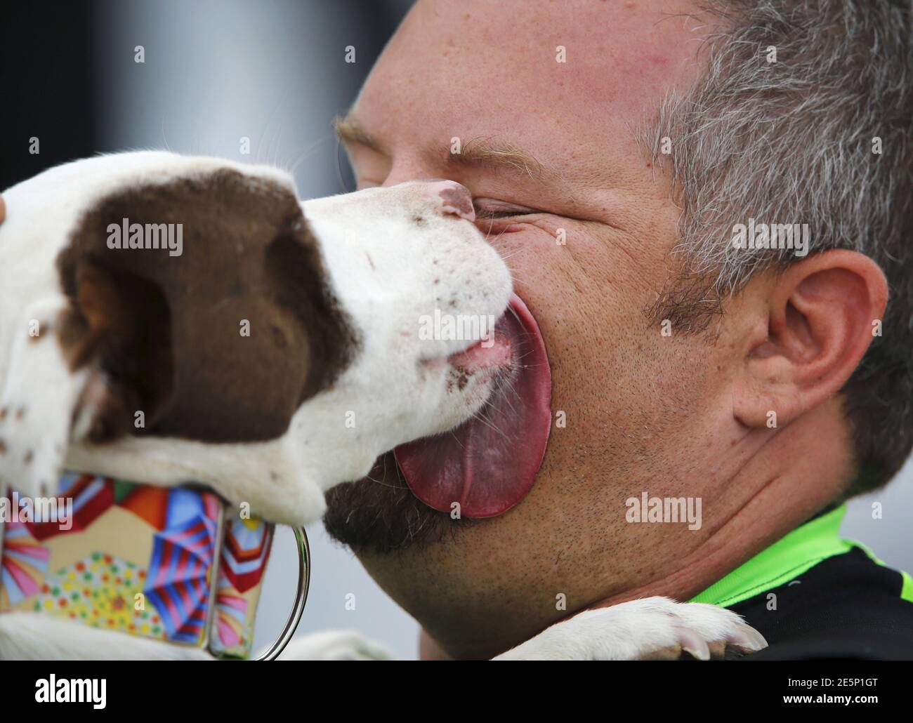Dog licks human fotografías e imágenes de alta resolución - Alamy